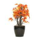 PolliNation Artificial Bonsai Plant with Pot BONSAI0032 - Orange 1 Unit