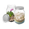 All Time Plastic Crystal Jar Natural - 960 ml 2 Pieces