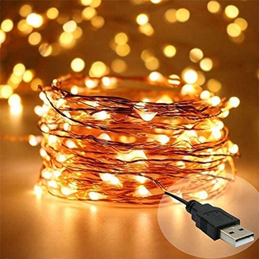 Desidiya Copper 100 LED Fairy String Light with USB Powered - Warm White 10 Metres