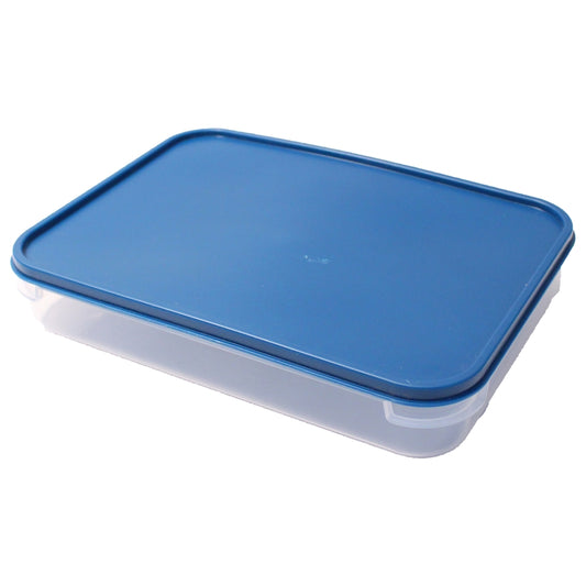 D Homes Plastic Storage Box - 2200 ML 1 Unit