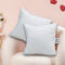 Recron Zest Fibre White Cushion 2 Units