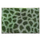 Athom Living Micro Printed Bath Mat (17) - 38 X 58cm Green