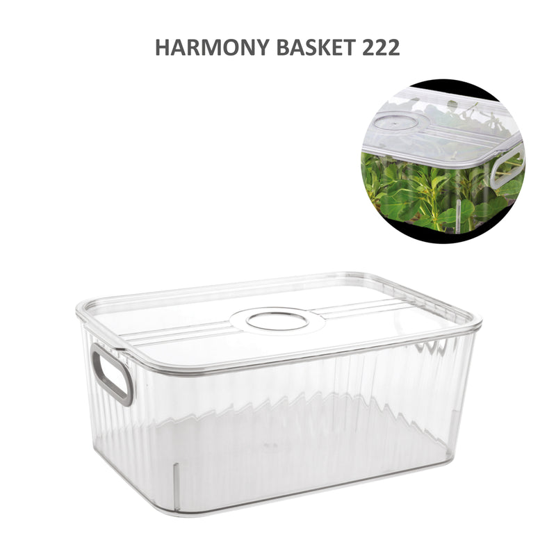 Jaipet Harmony 222 (Medium) Basket With Lid - Transparent 1 Unit