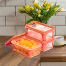 Unica 2K Rectangular Storage Container (Coral) - 1.56 L (Set of 3) 1 Unit