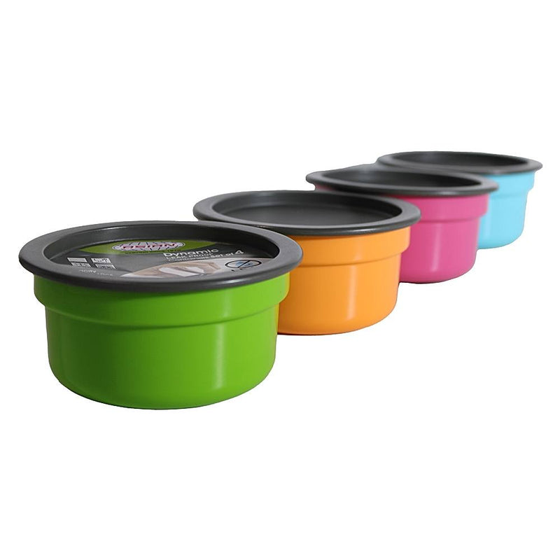 Dynamic Container Set - Assorted 4 Pieces