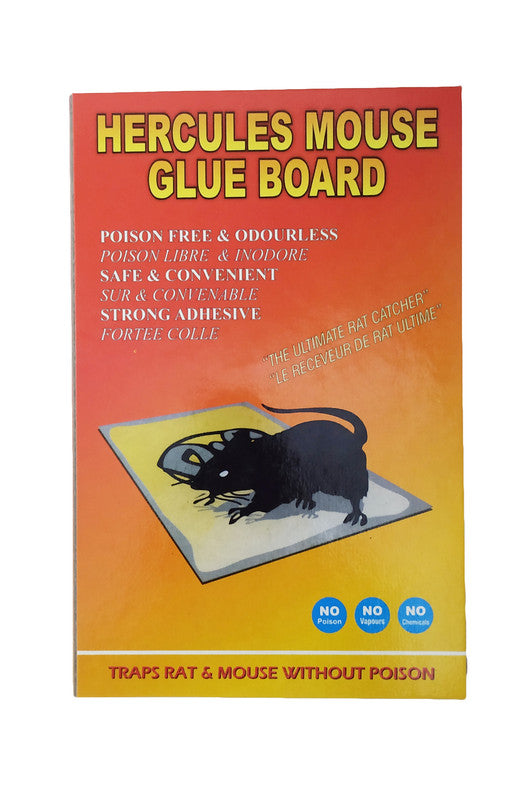 Shop Arbuda Hercules Rat Pad, Glue Pad (24 X 19)