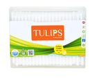 Shop Tulips Cotton Buds  in a Flat Box