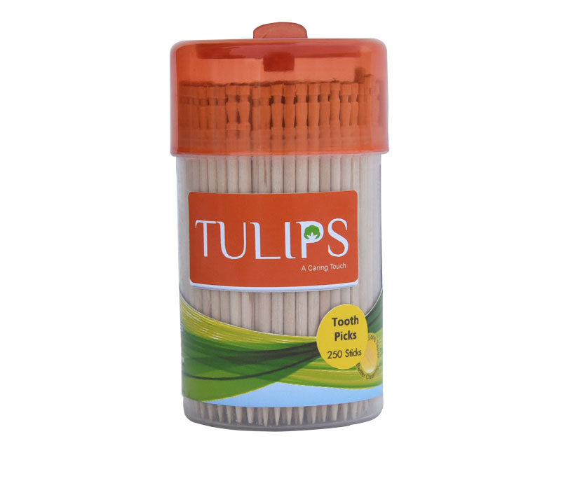 Shop Tulips Wooden Toothpicks in a Jar - 250 Pcs