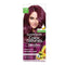 Garnier Ultra Hair Color 6.26 Plum Red - 55 ml + 50 gm : 1 Unit