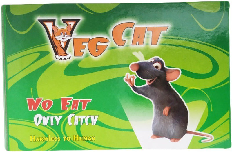 Shop Arbuda Veg Cat Rat Pad, Glue Pad (32 X 11) No Eat Only Catch